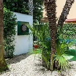 Simonetta Villa