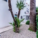 Simonetta Villa Fregene